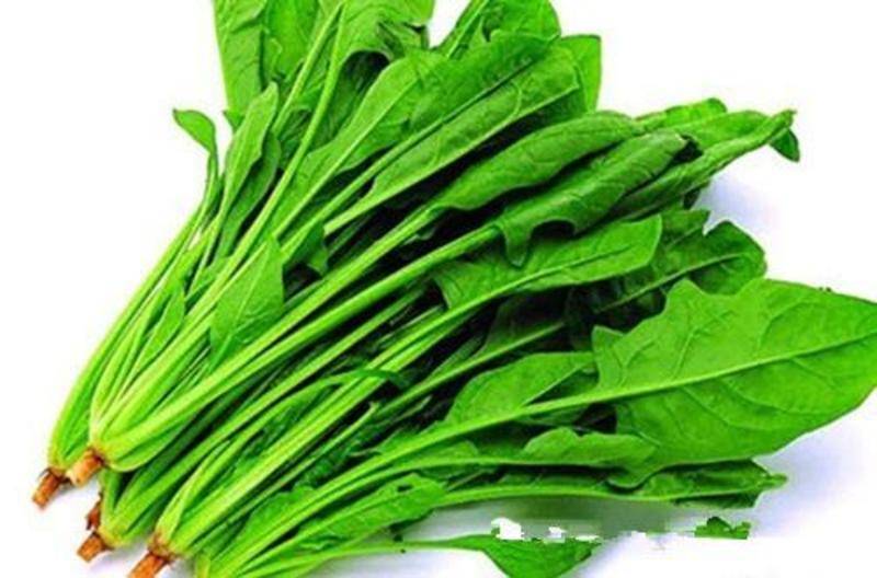 菠菜